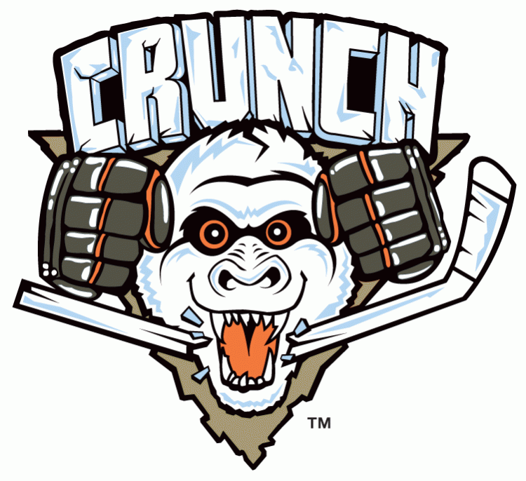 Syracuse Crunch 2010 11-2011 12 Primary Logo iron on heat transfer...